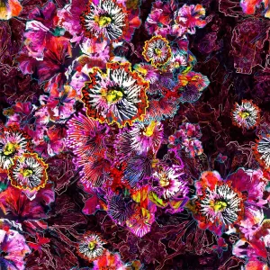 Glorious Gum Blossoms - Pink