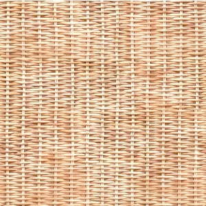 Michael Miller Widebacks - Wickerwork Straw