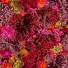 P Stylised Blossoms Pink Glorious Gumblossoms 4109