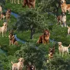 Dog Close Up Furry Fun